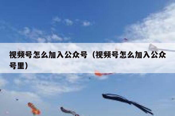 视频号怎么加入公众号（视频号怎么加入公众号里） 第1张