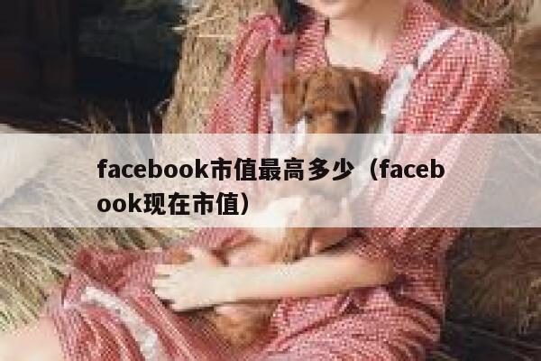 facebook市值最高多少（facebook现在市值） 第1张