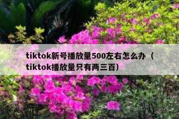 tiktok新号播放量500左右怎么办（tiktok播放量只有两三百） 第1张