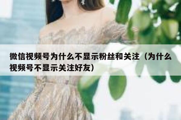 微信视频号为什么不显示粉丝和关注（为什么视频号不显示关注好友） 第1张