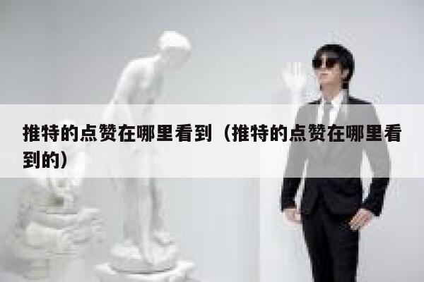 推特的点赞在哪里看到（推特的点赞在哪里看到的） 第1张