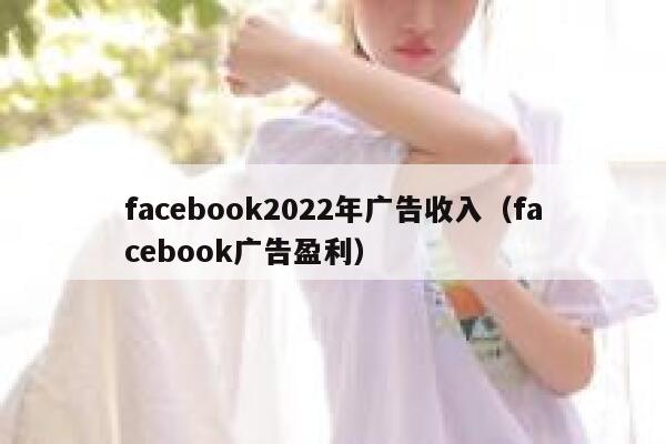 facebook2022年广告收入（facebook广告盈利） 第1张