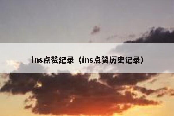 ins点赞纪录（ins点赞历史记录） 第1张