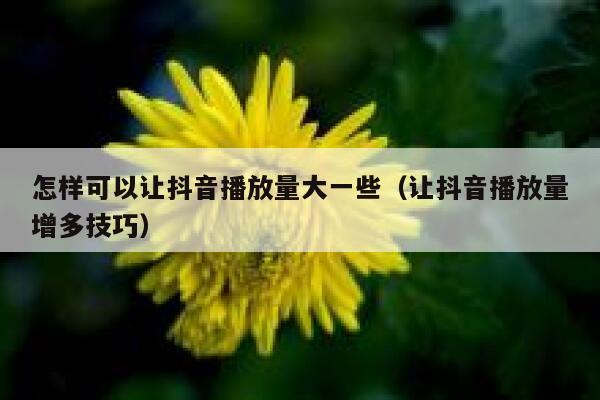 怎样可以让抖音播放量大一些（让抖音播放量增多技巧） 第1张