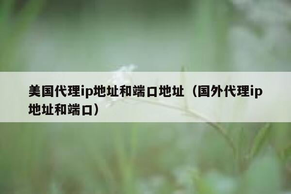 美国代理ip地址和端口地址（国外代理ip地址和端口） 第1张