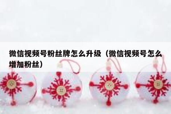 微信视频号粉丝牌怎么升级（微信视频号怎么增加粉丝） 第1张