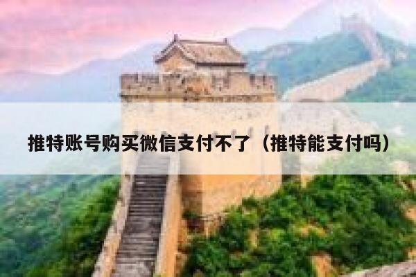 推特账号购买微信支付不了（推特能支付吗） 第1张