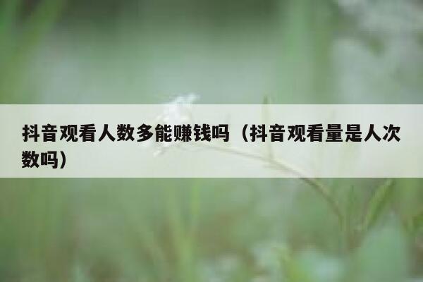 抖音观看人数多能赚钱吗（抖音观看量是人次数吗） 第1张