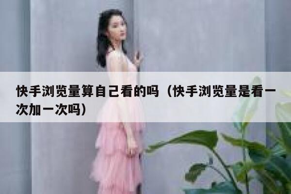 快手浏览量算自己看的吗（快手浏览量是看一次加一次吗） 第1张