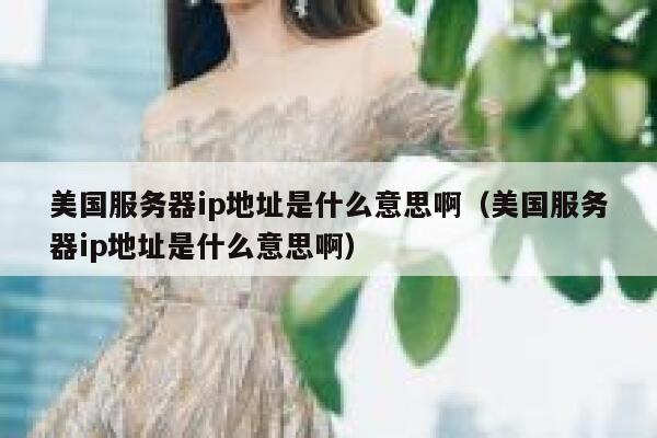 美国服务器ip地址是什么意思啊（美国服务器ip地址是什么意思啊） 第1张