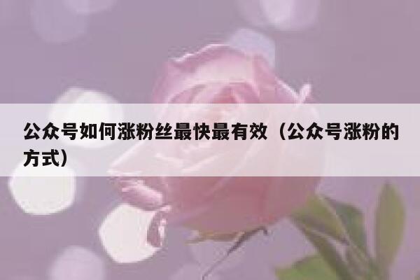 公众号如何涨粉丝最快最有效（公众号涨粉的方式） 第1张