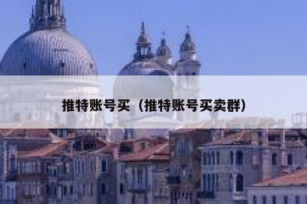 推特账号买（推特账号买卖群） 第1张