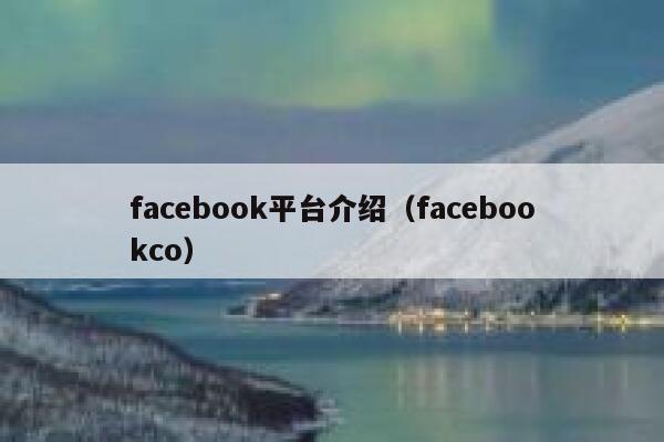 facebook平台介绍（facebookco） 第1张