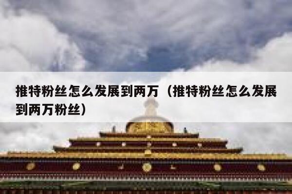 推特粉丝怎么发展到两万（推特粉丝怎么发展到两万粉丝） 第1张