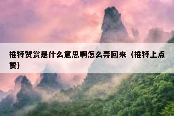 推特赞赏是什么意思啊怎么弄回来（推特上点赞） 第1张
