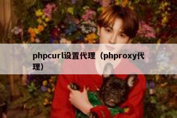 phpcurl设置代理（phproxy代理） 第1张