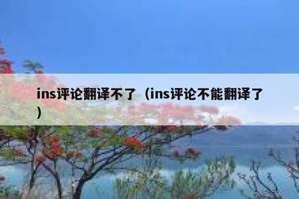 ins评论翻译不了（ins评论不能翻译了） 第1张