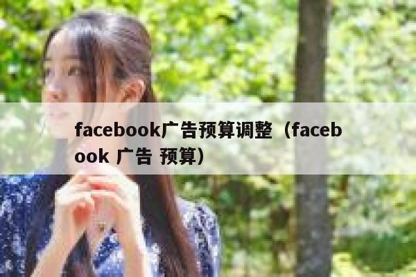 facebook广告预算调整（facebook 广告 预算） 第1张