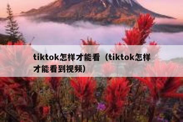 tiktok怎样才能看（tiktok怎样才能看到视频） 第1张