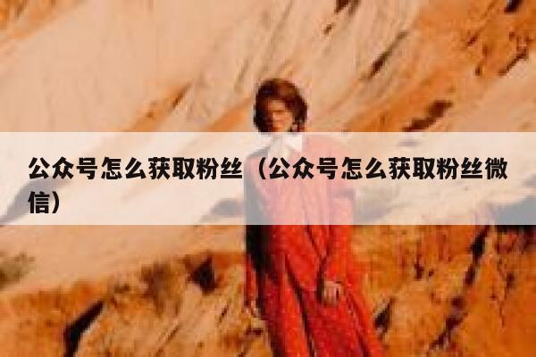 公众号怎么获取粉丝（公众号怎么获取粉丝微信） 第1张