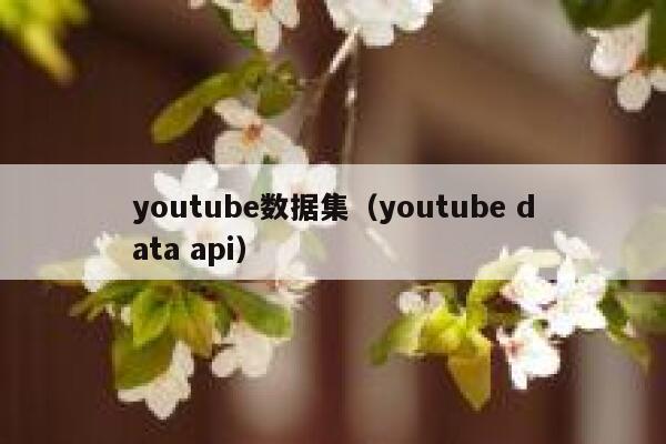 youtube数据集（youtube data api） 第1张