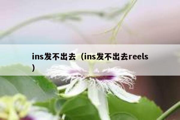 ins发不出去（ins发不出去reels） 第1张