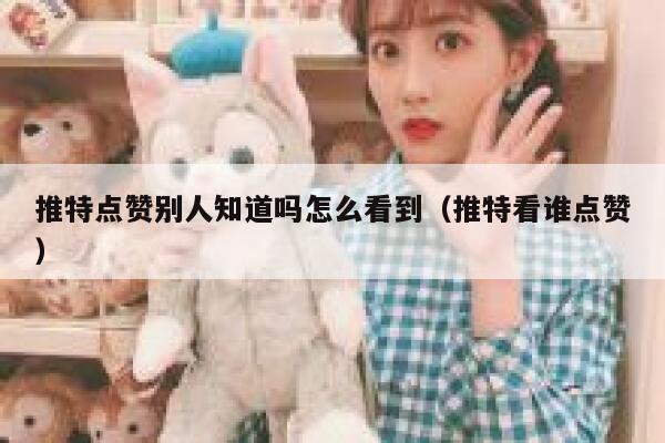 推特点赞别人知道吗怎么看到（推特看谁点赞） 第1张