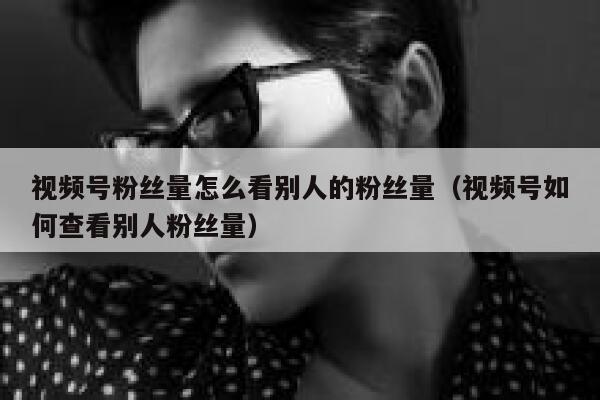 视频号粉丝量怎么看别人的粉丝量（视频号如何查看别人粉丝量） 第1张
