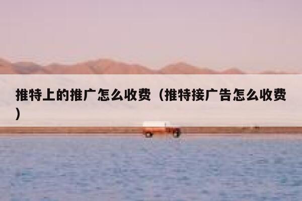 推特上的推广怎么收费（推特接广告怎么收费） 第1张