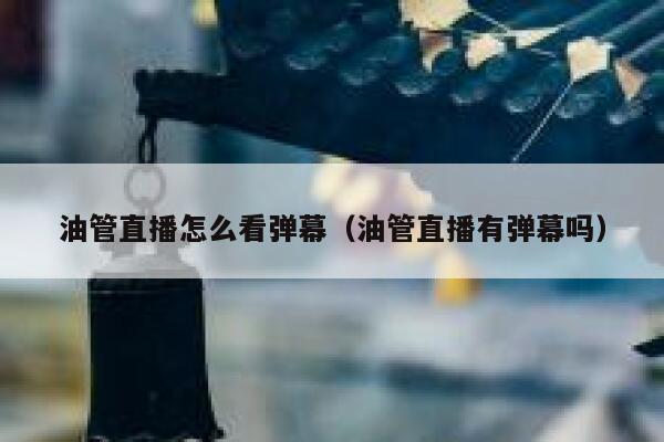 油管直播怎么看弹幕（油管直播有弹幕吗） 第1张