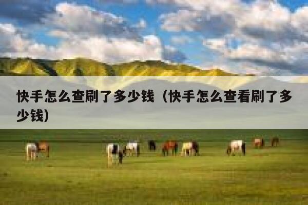 快手怎么查刷了多少钱（快手怎么查看刷了多少钱） 第1张