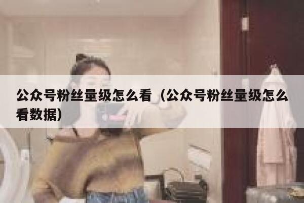 公众号粉丝量级怎么看（公众号粉丝量级怎么看数据） 第1张