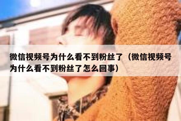 微信视频号为什么看不到粉丝了（微信视频号为什么看不到粉丝了怎么回事） 第1张