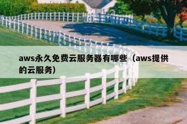 aws永久免费云服务器有哪些（aws提供的云服务） 第1张