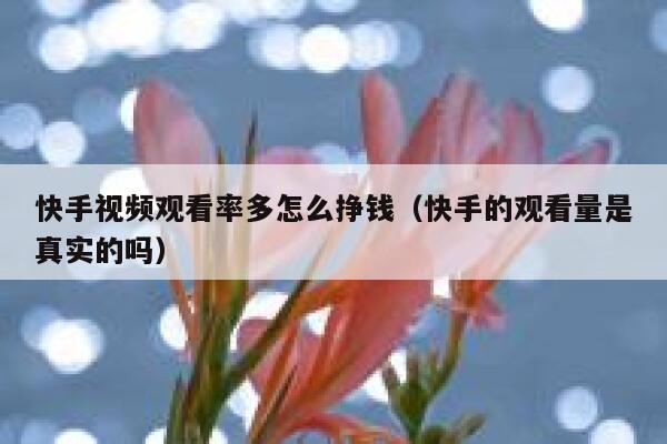 快手视频观看率多怎么挣钱（快手的观看量是真实的吗） 第1张