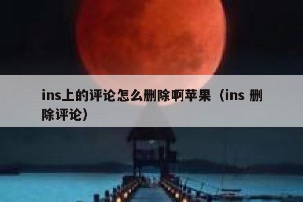 ins上的评论怎么删除啊苹果（ins 删除评论） 第1张
