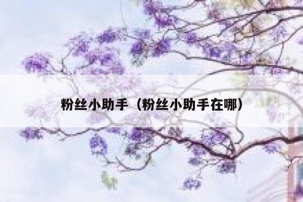 粉丝小助手（粉丝小助手在哪） 第1张