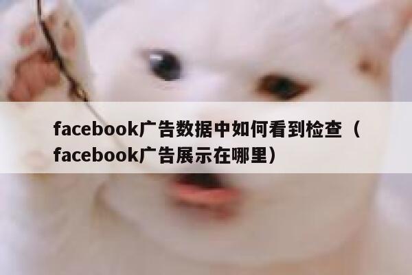 facebook广告数据中如何看到检查（facebook广告展示在哪里） 第1张