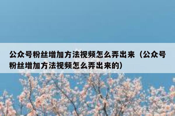公众号粉丝增加方法视频怎么弄出来（公众号粉丝增加方法视频怎么弄出来的） 第1张
