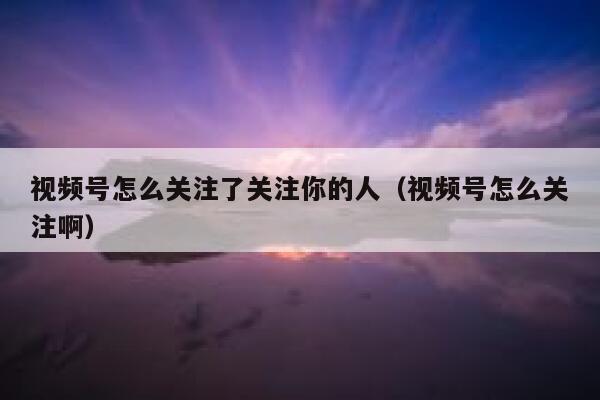 视频号怎么关注了关注你的人（视频号怎么关注啊） 第1张