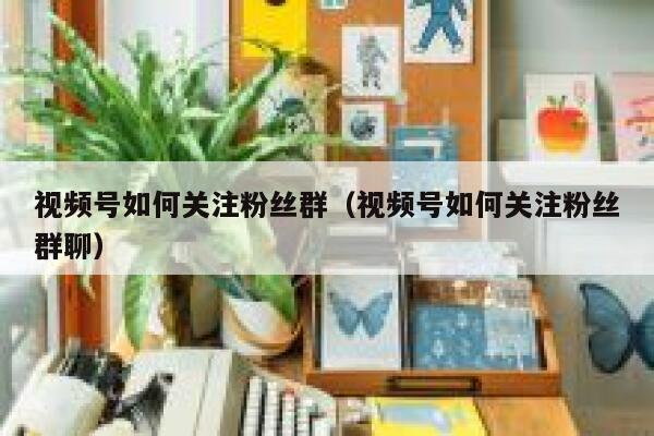 视频号如何关注粉丝群（视频号如何关注粉丝群聊） 第1张