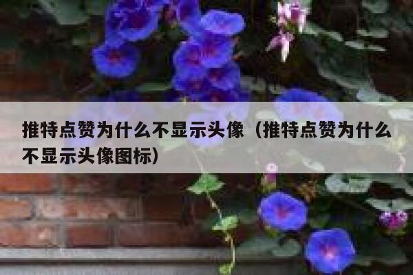 推特点赞为什么不显示头像（推特点赞为什么不显示头像图标） 第1张