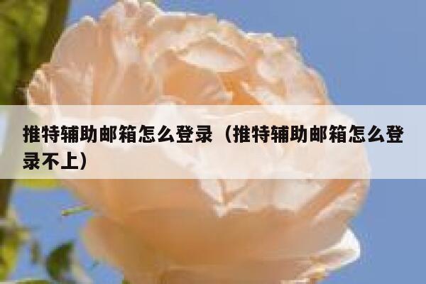 推特辅助邮箱怎么登录（推特辅助邮箱怎么登录不上） 第1张