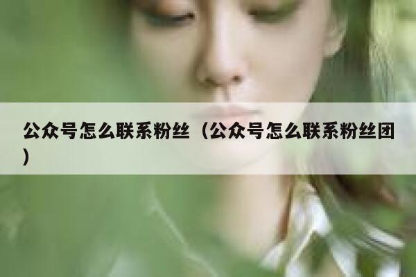 公众号怎么联系粉丝（公众号怎么联系粉丝团） 第1张