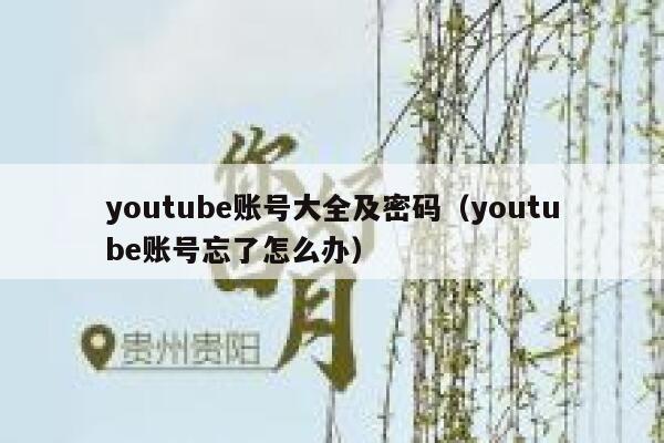youtube账号大全及密码（youtube账号忘了怎么办） 第1张