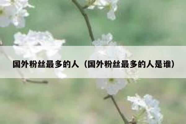 国外粉丝最多的人（国外粉丝最多的人是谁） 第1张