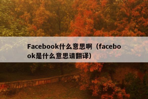 Facebook什么意思啊（facebook是什么意思请翻译） 第1张