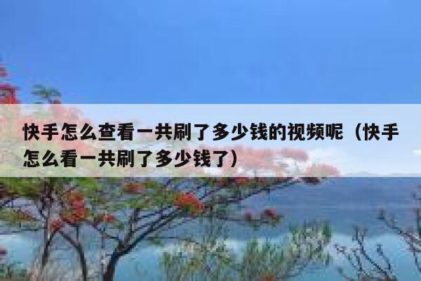 快手怎么查看一共刷了多少钱的视频呢（快手怎么看一共刷了多少钱了） 第1张