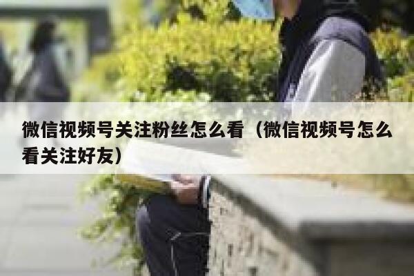 微信视频号关注粉丝怎么看（微信视频号怎么看关注好友） 第1张