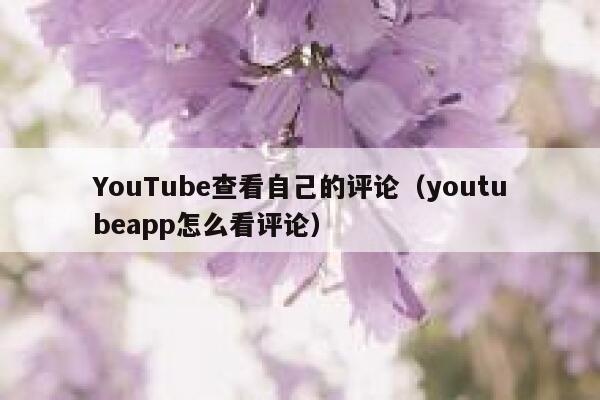 YouTube查看自己的评论（youtubeapp怎么看评论） 第1张